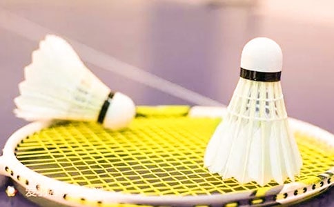 д����ë�������