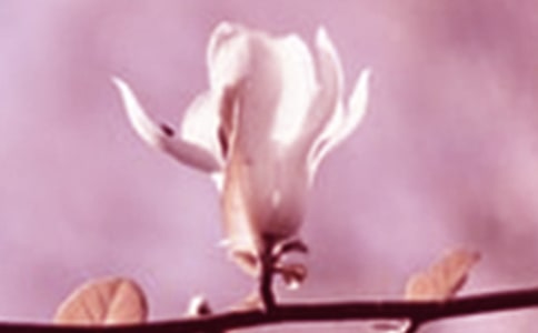 [�ϼ�]����������