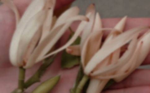 ��д���������������Ӷ̾�