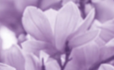 ������������Сѧ������350�֣�ͨ��3ƪ��