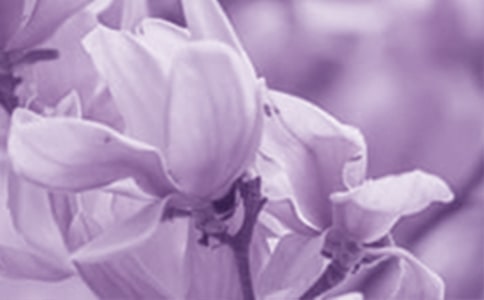 ����������������300��