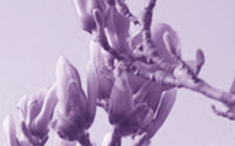 ����������[��ȫ15ƪ]