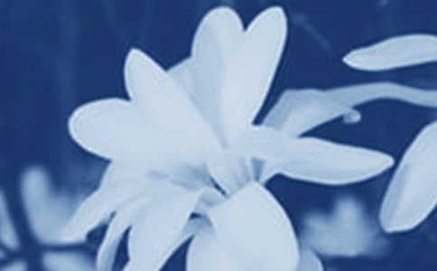 ����������������