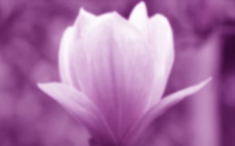 (����)����������