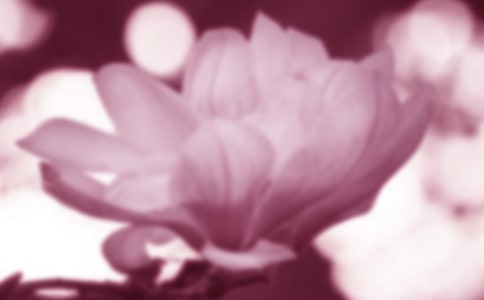 ����������������[ͨ��15ƪ]