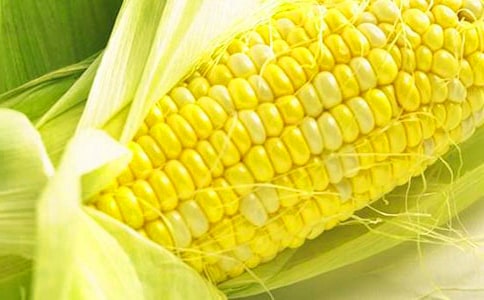 ���������ģ�ͨ��28ƪ��