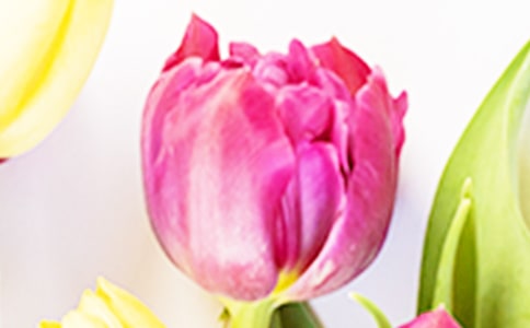 ����������15ƪ[ʵ��]