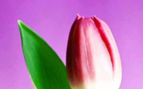 (�ϼ�)����������15ƪ