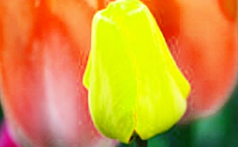 ��������������