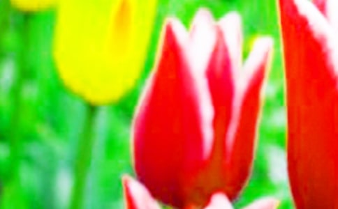 ��������������