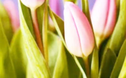 ��������������3ƪ