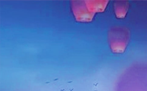 �̻���Ԫ������