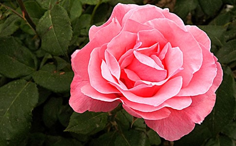 �����¼�����15ƪ�����㡿