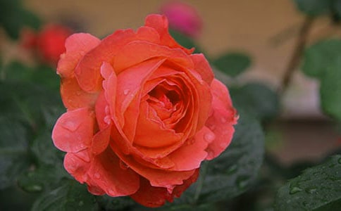 ���ݰ��¼��ڵľ���