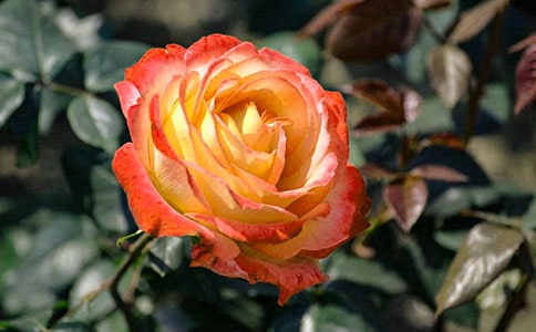 �¼����ռ�