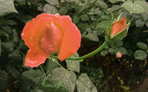 �Ҽҵ��¼�������