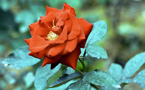 ͨ�������¼����ľ���31��