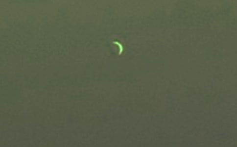 ��д������������