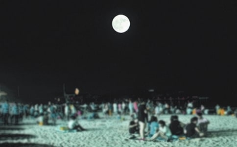 (��)��Բ֮ҹ����15ƪ