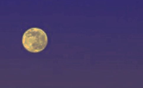 ������Բҹ����