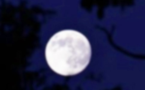 ��Բ֮ҹ����5ƪ