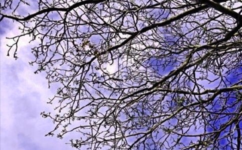 �й��簲�����������Ȧ47��