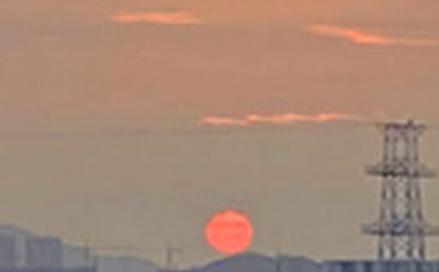 ���ر����簲�������31��