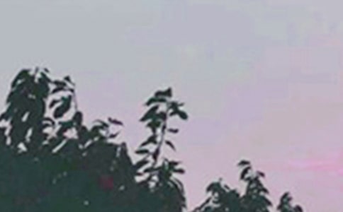 2023��򵥵�Ψ�����簲������¼����50��