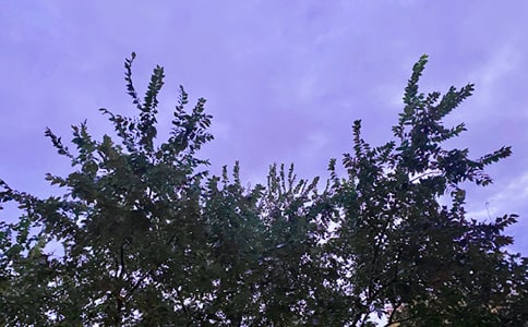 �����š�2024�궯�˵��簲������¼ժ¼49��