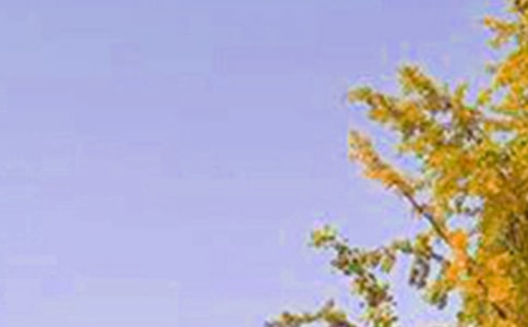 ͨ���°��簲������¼41��