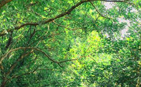 ��ѡ��ů���簲������¼26��