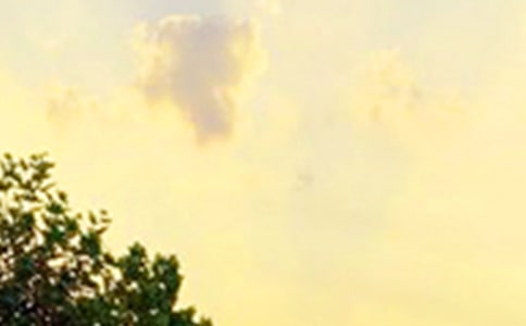 ���Ƽ���2023���簲���������¼�ϼ�38��