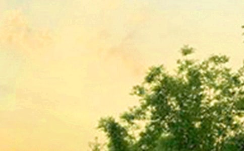 2024�곣���ʺ����Ϸ����簲������¼36��