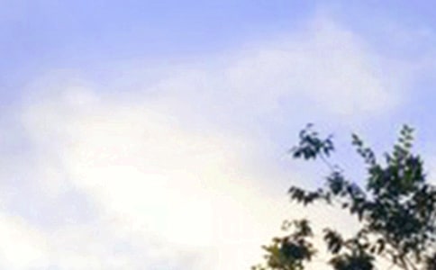 ��ѡ�簲������ӻ��37��