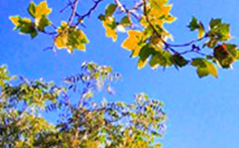 ʵ�õ����õ��簲������¼48��