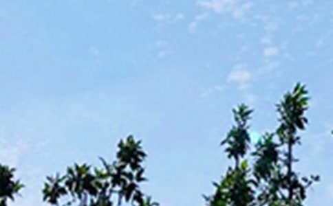 �����°��簲������¼46��