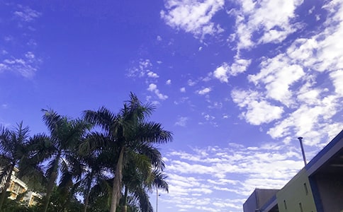 ���������簲������¼44��