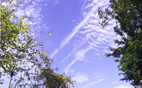 ����ÿ��һǩ�簲������¼47��