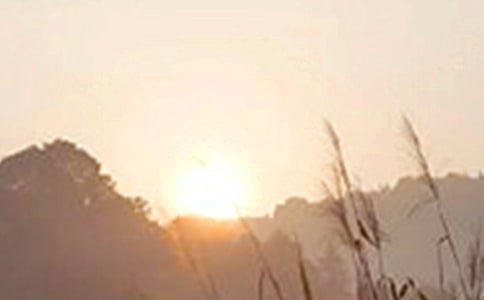 2024������������簲�ʺ�����¼�󼯺�51��