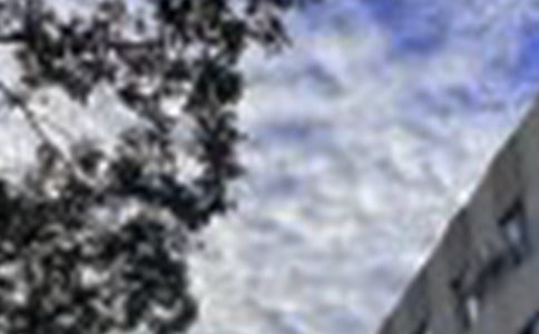 �����ʺ����Ϸ����簲������¼25��