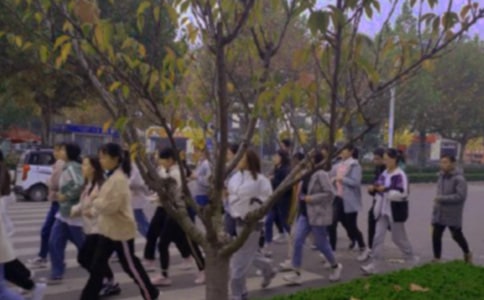 ��ٳٵ�������(���15ƪ)