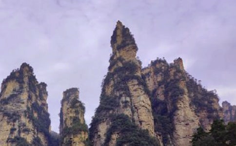 ���żҽ����������