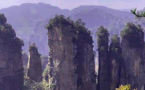 ���˵��żҽ����ģ�����