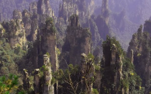 �żҽ���������