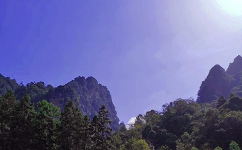 �������żҽ���������7ƪ(����)