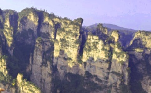 �������żҽ�����