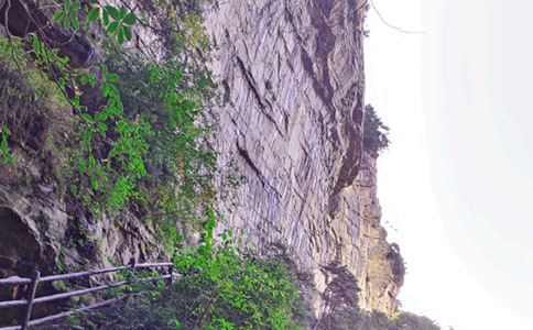 ���˵��żҽ�����