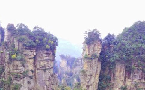 �żҽ��μ�����