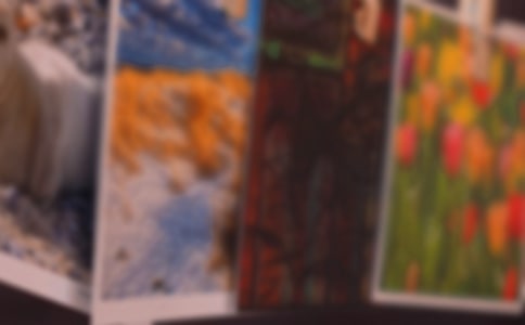 ��Ƭ�Ĺ�������