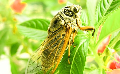 ׽֪������15ƪ[��]